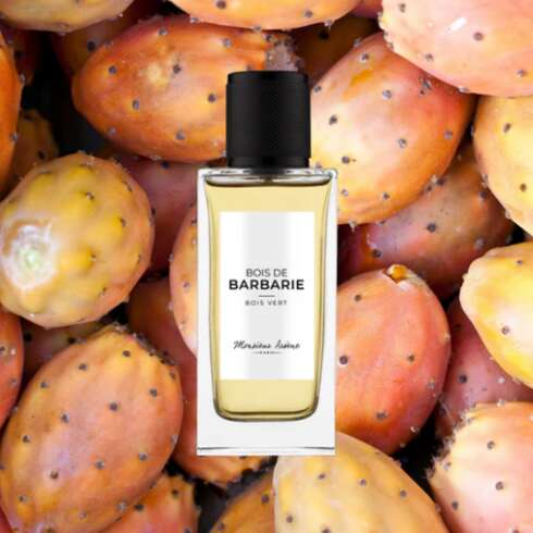 Wellness treatment Eau de Parfum DE BARBARIE 50ml