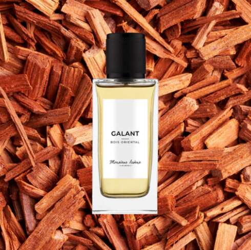 Wellness treatment Eau de parfum GALANT 50ml