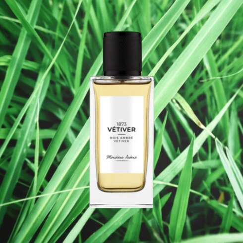 Wellness treatment Eau de parfum VETIVER 30 ml