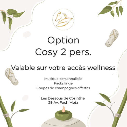 Wellness treatment Option Cosy - 2 pers.