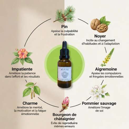 Wellness treatment Fleurs de Bach Minceur