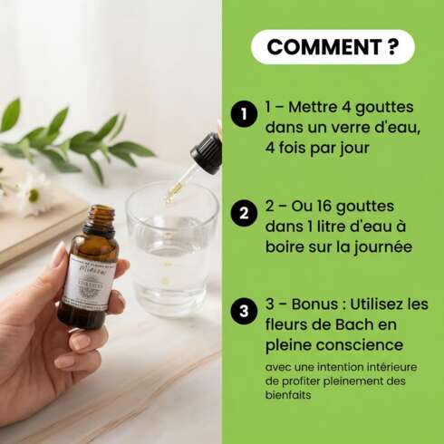 Wellness treatment Fleurs de Bach Minceur