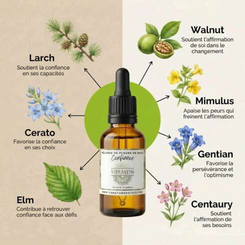 Wellness treatment Fleurs de Bach Confiance