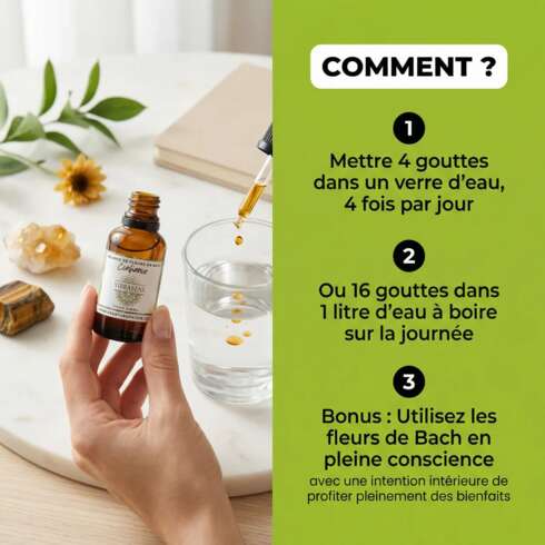 Wellness treatment Fleurs de Bach Confiance