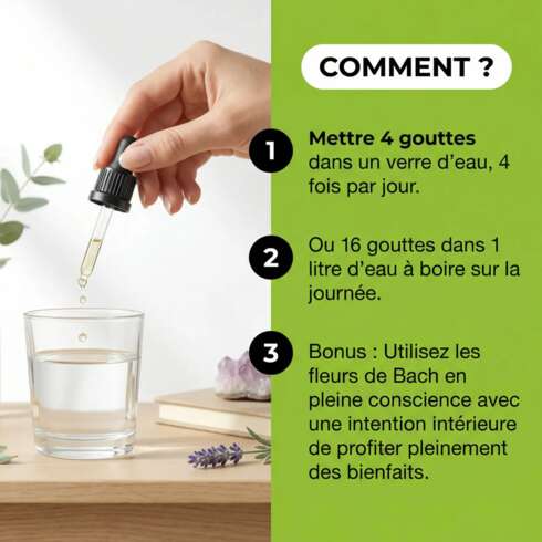 Wellness treatment Fleurs de Bach Peurs / Anxiété
