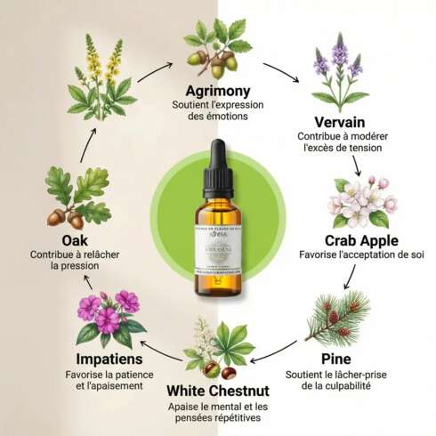 Wellness treatment Fleurs de Bach Anti stress